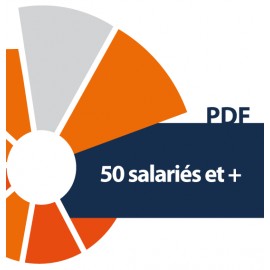 50 salariés et plus - CCI du Morbihan (PDF)